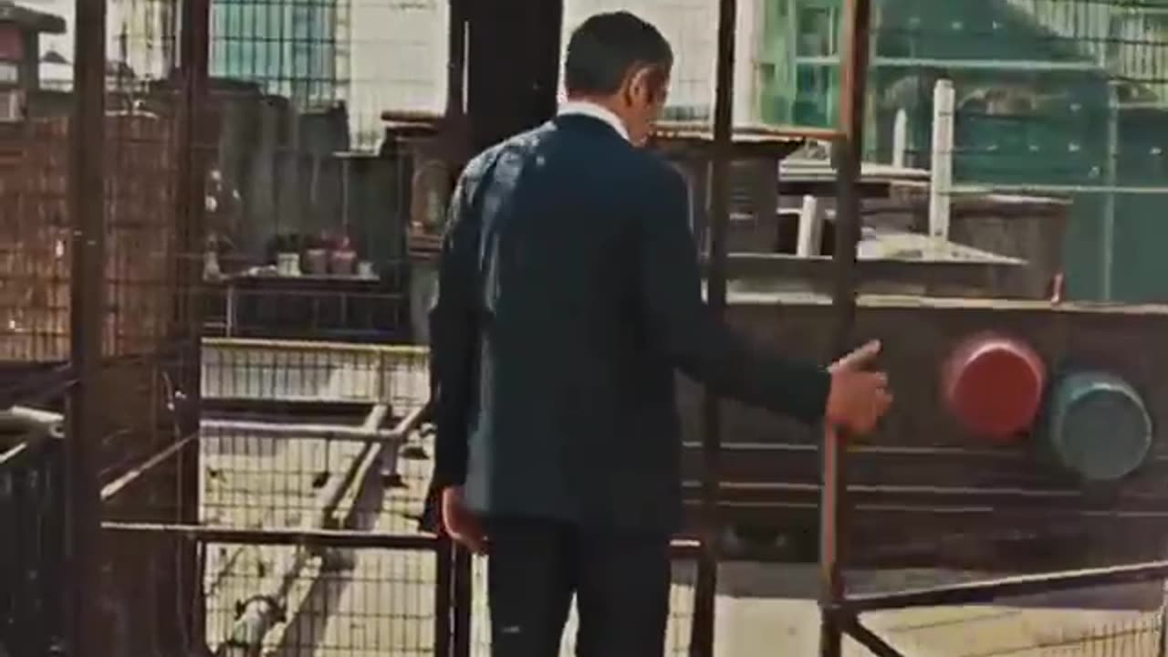 Fun