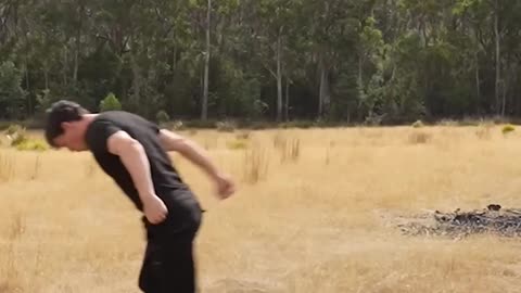 If animals did Parkour