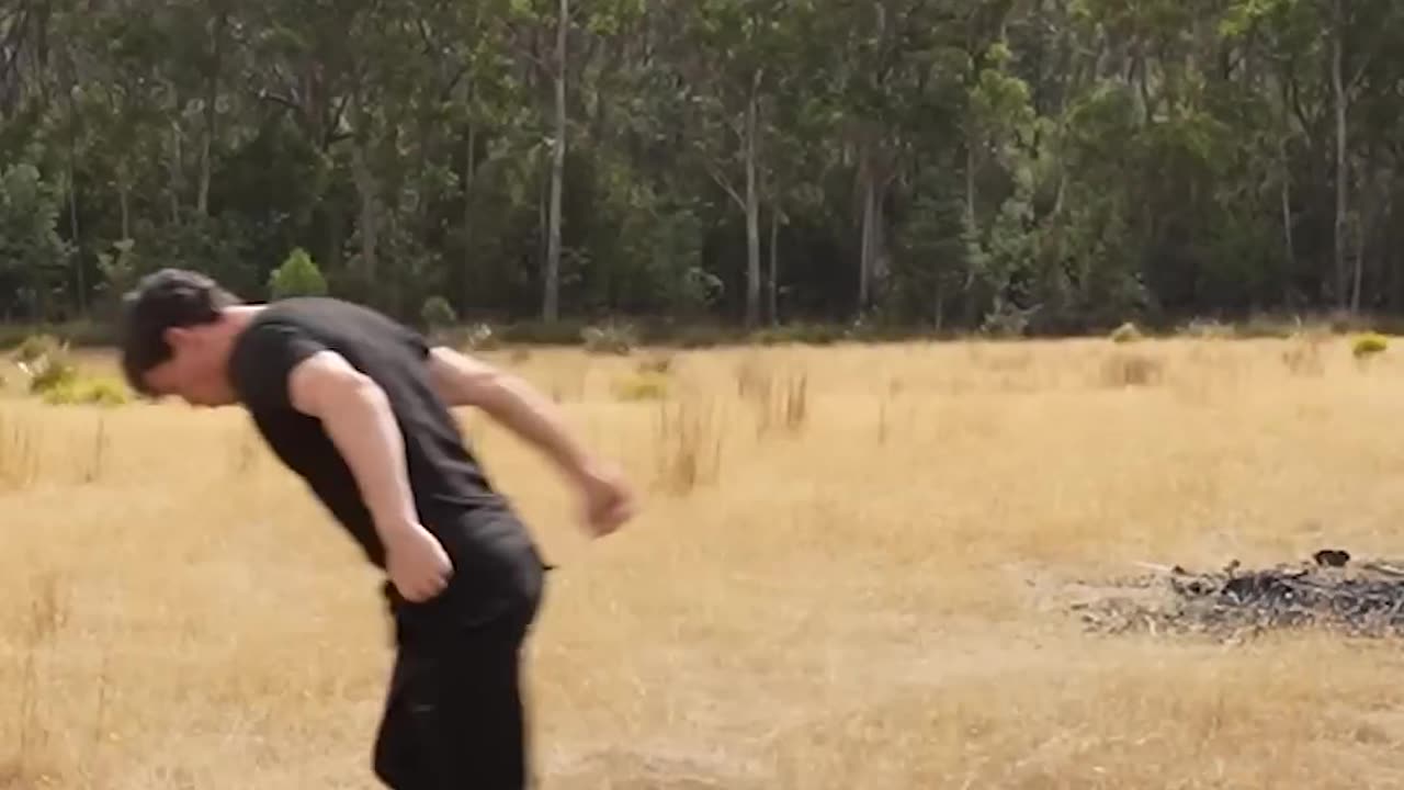 If animals did Parkour