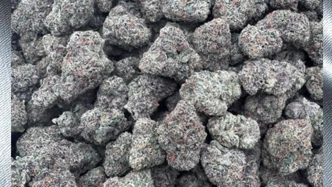 THCa 30% Hybrid | Sweet Candy & Pine Gas | Euphoric, Relaxed, Creative | Bulk #thca