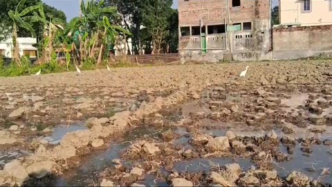 Beautiful view #freefire #bb #garenafreefire #iambb_official