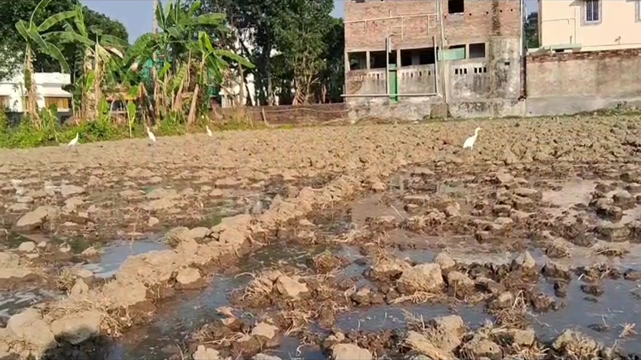 Beautiful view #freefire #bb #garenafreefire #iambb_official