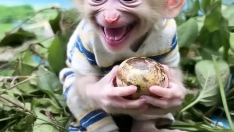 Guess Who's Back? Miss Me? 🙊❤️ #baymonkey
