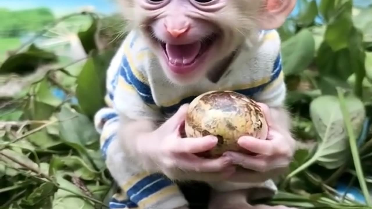 Guess Who's Back? Miss Me? 🙊❤️ #baymonkey