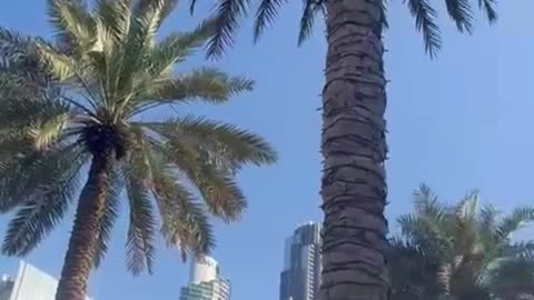 Exploring Dubai Mall & Burj Khalifa – World's Tallest & Largest!