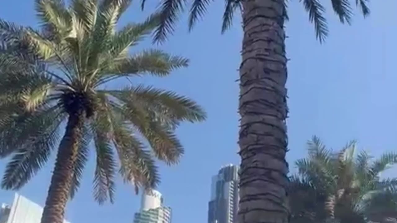 Exploring Dubai Mall & Burj Khalifa – World's Tallest & Largest!