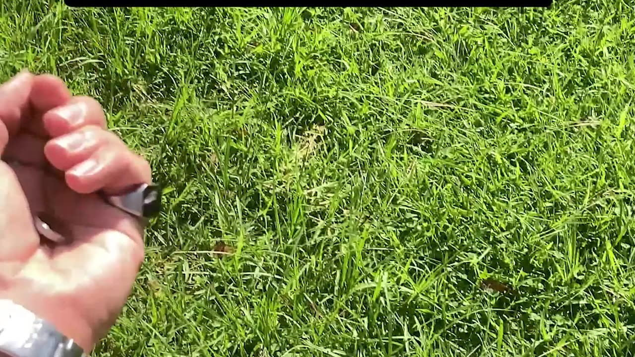 Money and fame make your life easier. #money #wealth #crypto #shorts #reels