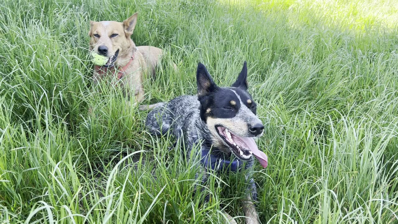 marymoor park - catching our breath 23908420