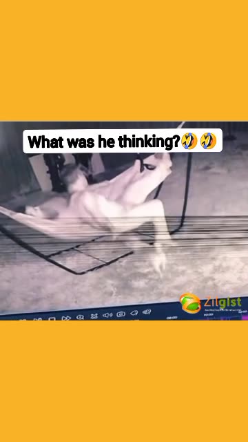 What in the world was he thinking? 😂