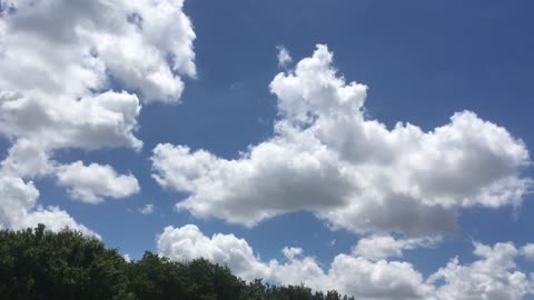 LOST AND FOUND. Whose puppy ran into the sky 😅