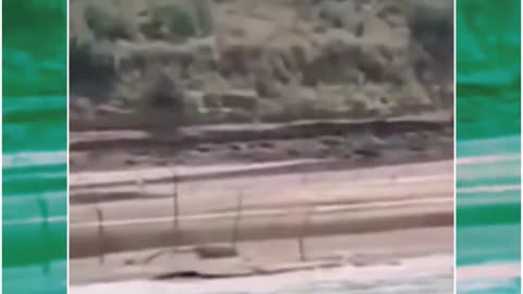 Agra: Teen Survives Crocodile Attack in Chambal River by Punching It Repeatedly
