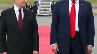 il Donaldo Trumpo - NOW LET'S GET IT DONE!!!🇺🇸⚡️🇷🇺