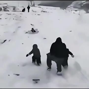 A parent's job is to save the life of a creature struggling to die.😂😂