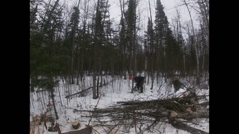 Winter Cut 2025 - Part 4