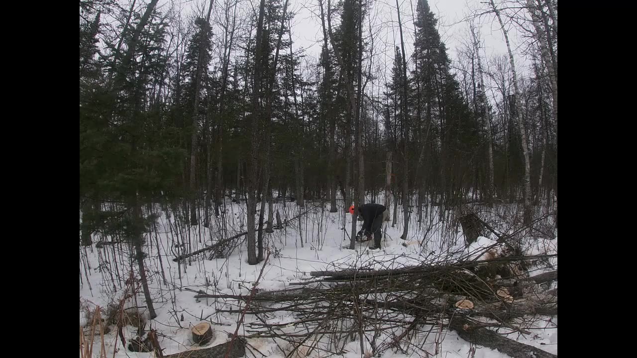 Winter Cut 2025 - Part 4