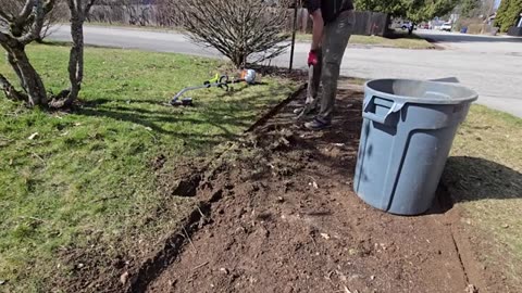 Peeling Back A CENTURY OLD Sidewalk To Help It BREATHE Again_part4