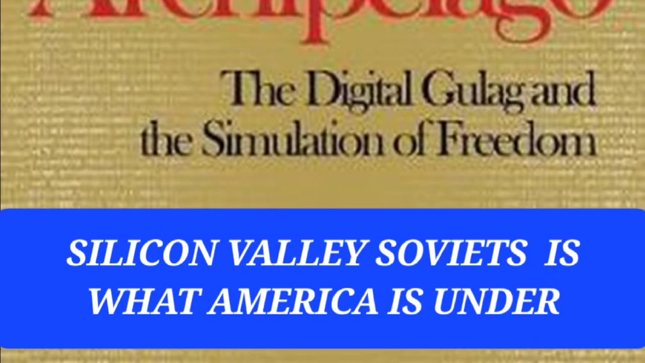 Silicon Valley Soviets