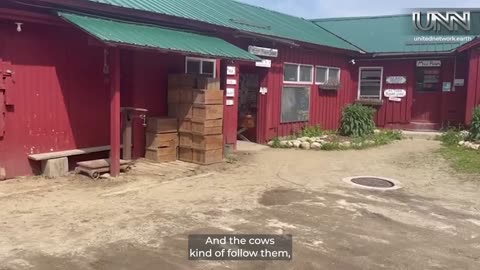 Fresh, local, and organic! Join Karen as she tours a farm in Wilton, New Hampshire, USA.