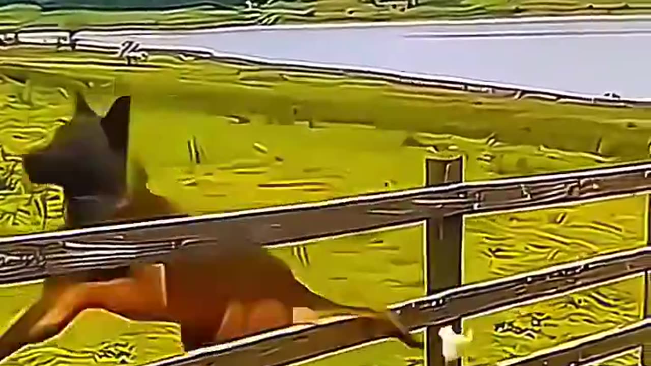 Best funny moments 2025