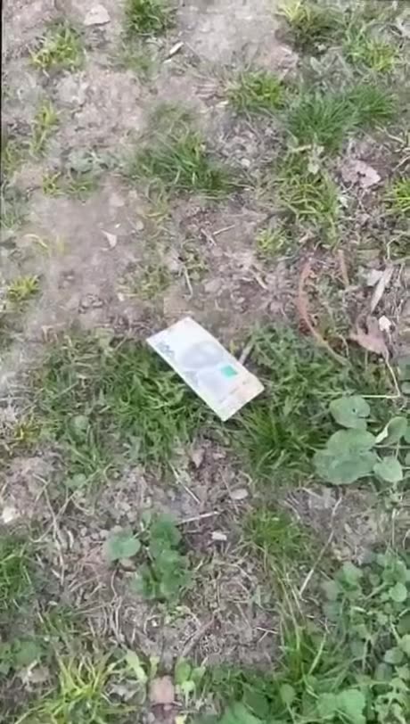 𝑻𝒉𝒆 𝒐𝒏𝒍𝒚 𝒅𝒓𝒆𝒂𝒎 𝒄𝒐𝒎𝒆𝒔 𝒕𝒓𝒖𝒆