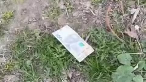 𝑻𝒉𝒆 𝒐𝒏𝒍𝒚 𝒅𝒓𝒆𝒂𝒎 𝒄𝒐𝒎𝒆𝒔 𝒕𝒓𝒖𝒆