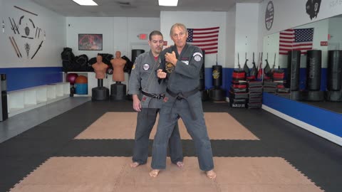 Obscure Wing - Principles, Theories, Rules, Concepts, Ideas, and Strategies