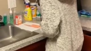 😂🤦‍♀️ You Won't Believe This Epic Mom Fail! Mom did an oopsie | FunFM