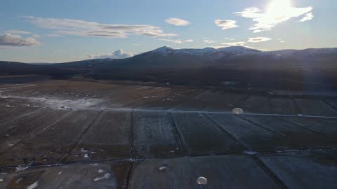 Quiet Forest – Nature Lofi Escape