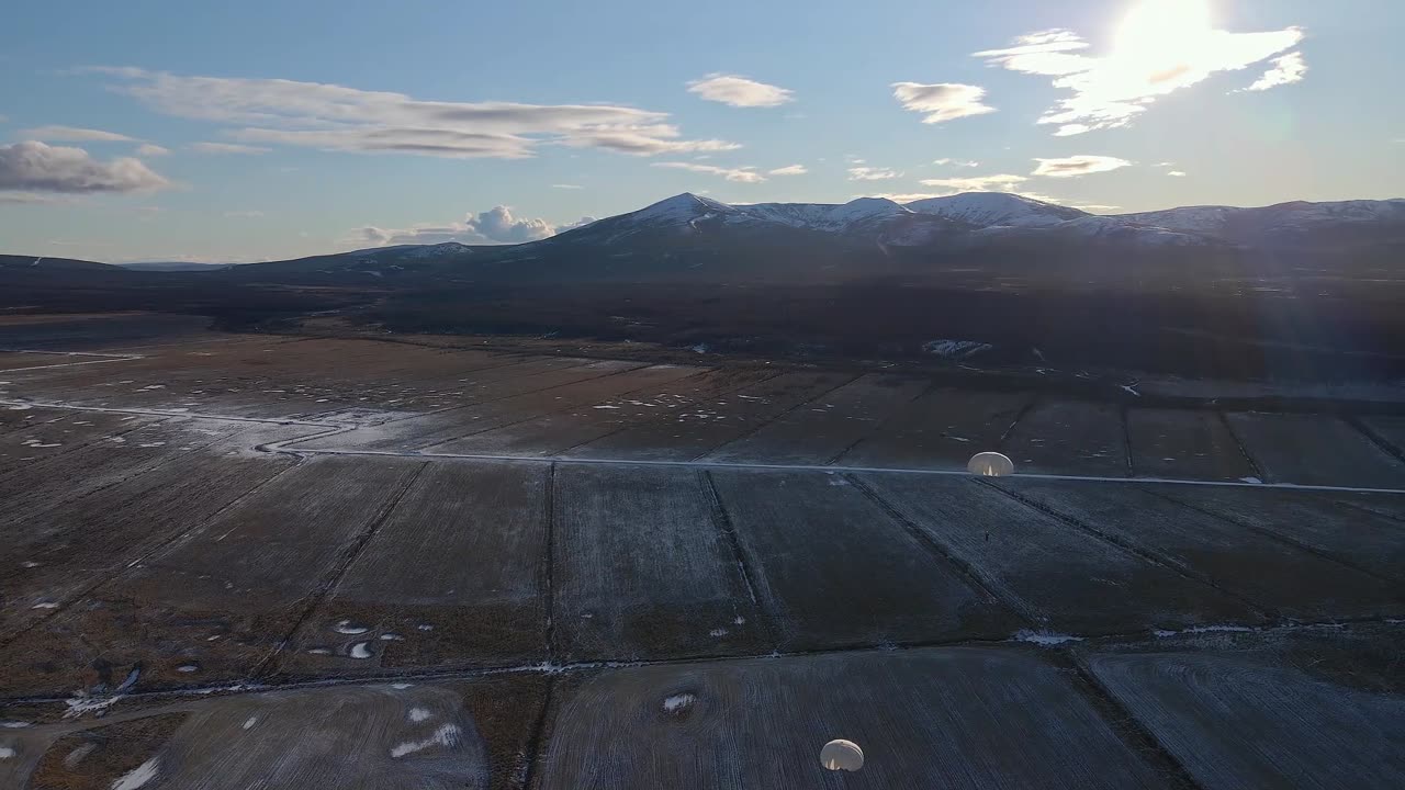 Quiet Forest – Nature Lofi Escape