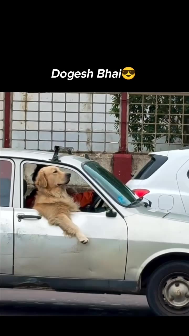 Dogesh dancer new style unlock