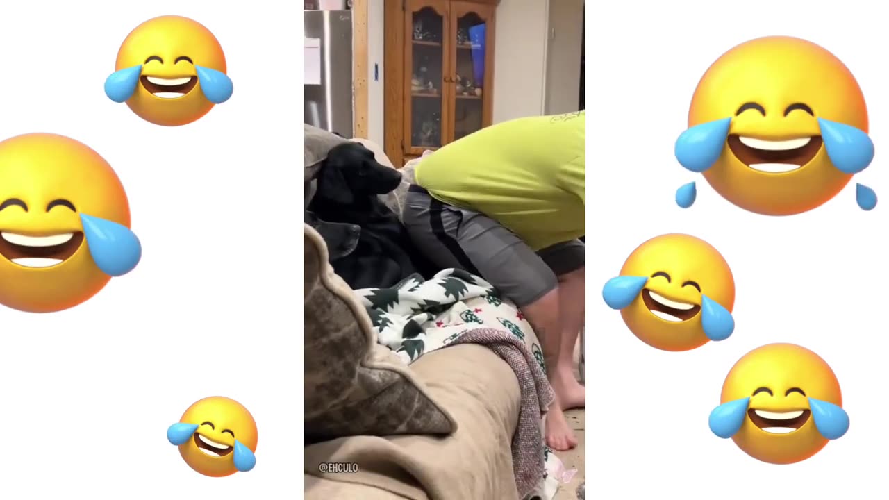 Funny 33
