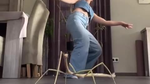 Likes To Dance