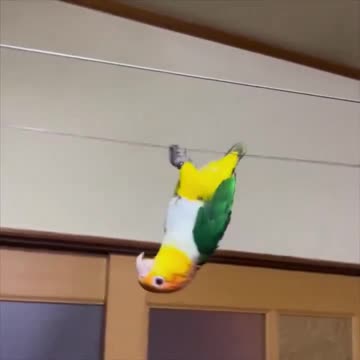 Mission impossible.. 😂