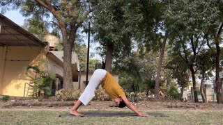 45 Min Full Body Yoga