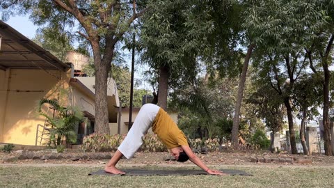 45 Min Full Body Yoga