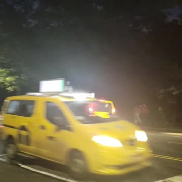 Horse-drawn carriage in New York City.