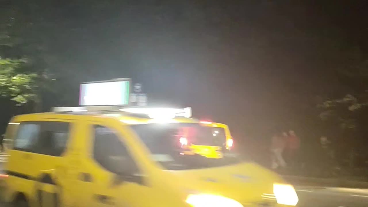 Horse-drawn carriage in New York City.