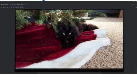 Student Work (lab) | CST2335 Lab 6 Java AsyncTask in Android TV App | CST2335 | Algonquin College