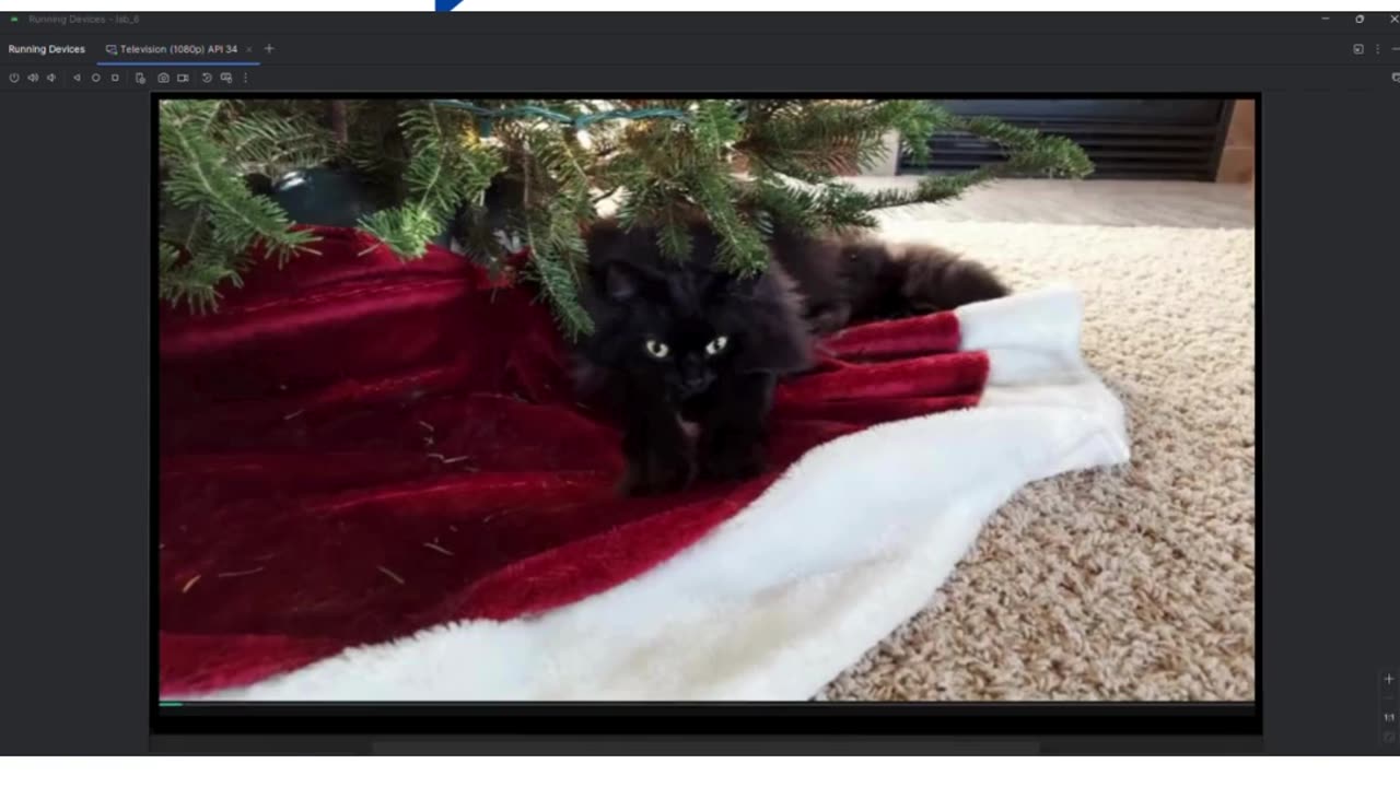 Student Work (lab) | CST2335 Lab 6 Java AsyncTask in Android TV App | CST2335 | Algonquin College