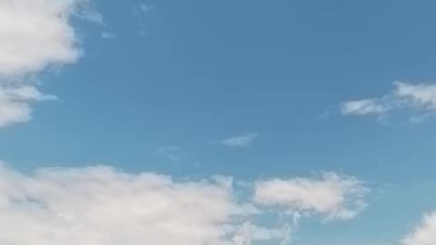 Vairalvideo
