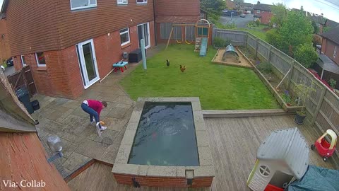 Funny Animal thinks no one is watching them