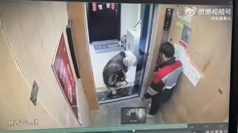 Elevator Encounter