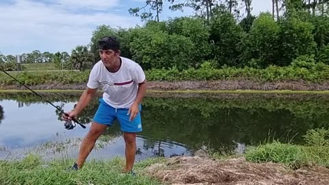 chi la fa l aspetti with live bait tarpon and snook fishing in Florida_part8