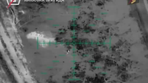 Incredible Drone Strikes on Russian Infantry from Yesterday