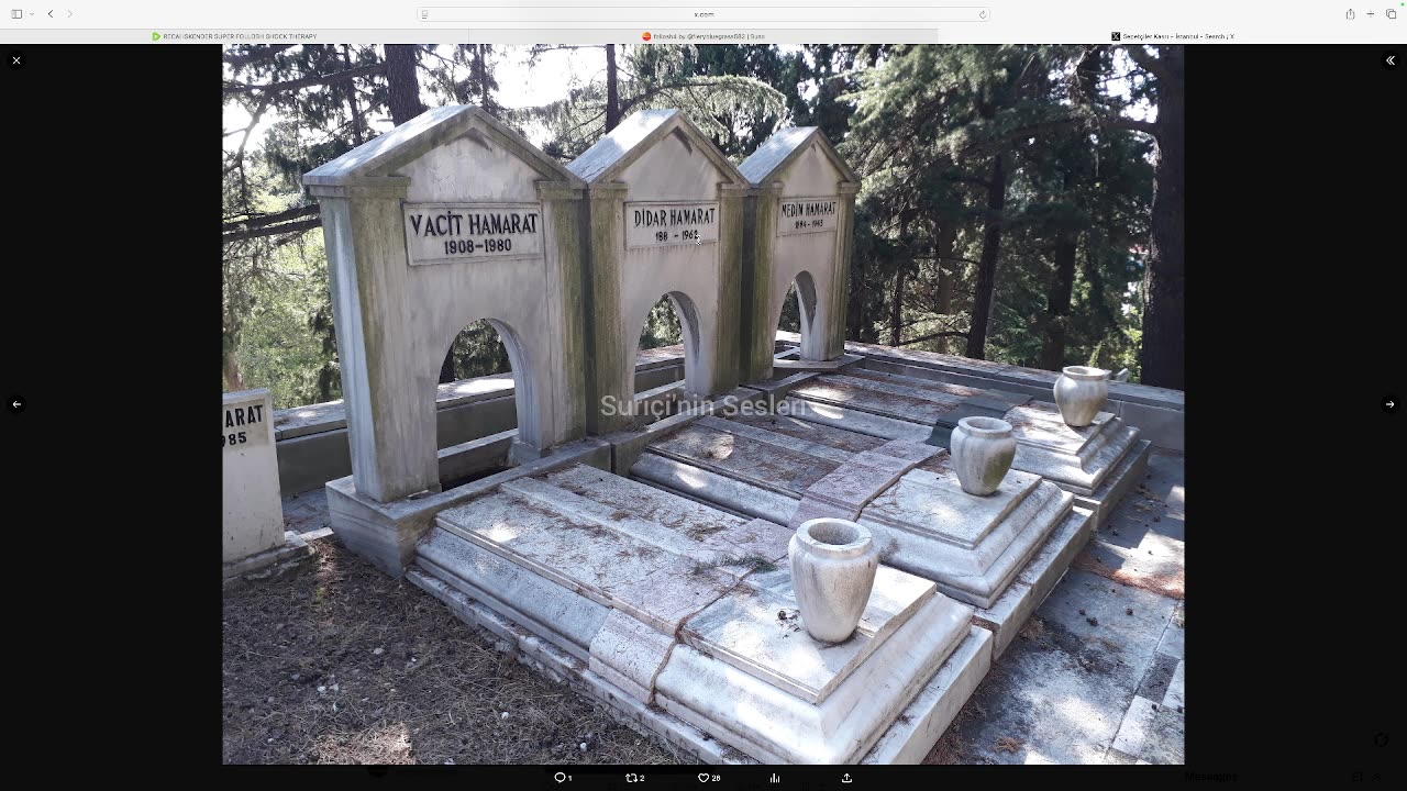 RECAI ISKENDER SUPER FOLLOSH SHOCK THERAPY