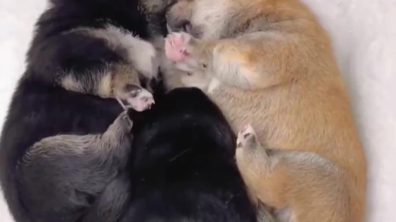 Let me squeeze in.. 😊