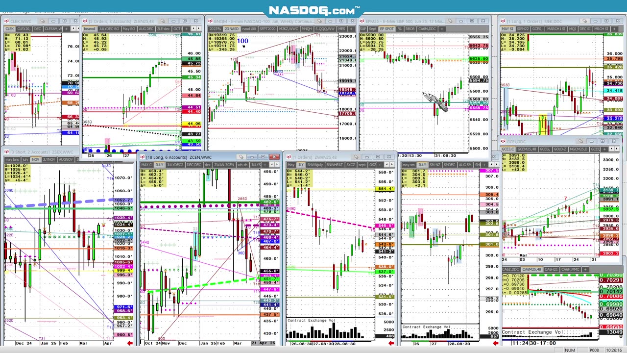 Grains USDA before/after looks today 5min