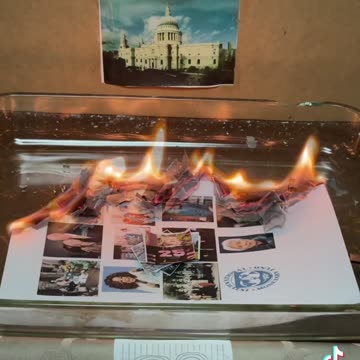 Tim Rifat TikTok Videos