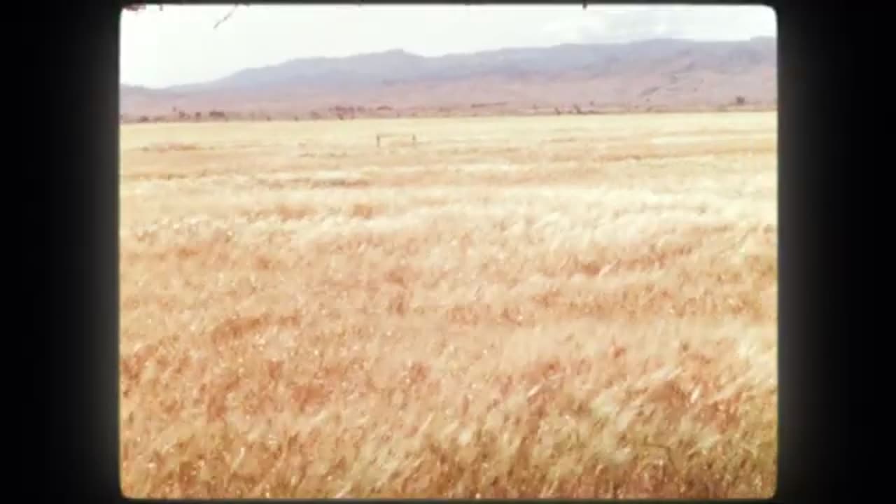 Bitcoin is Beautiful (Short Film)