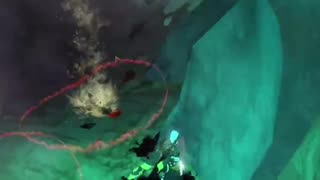 Magellan's Memento (Achievement Guide) - Guild Wars 2